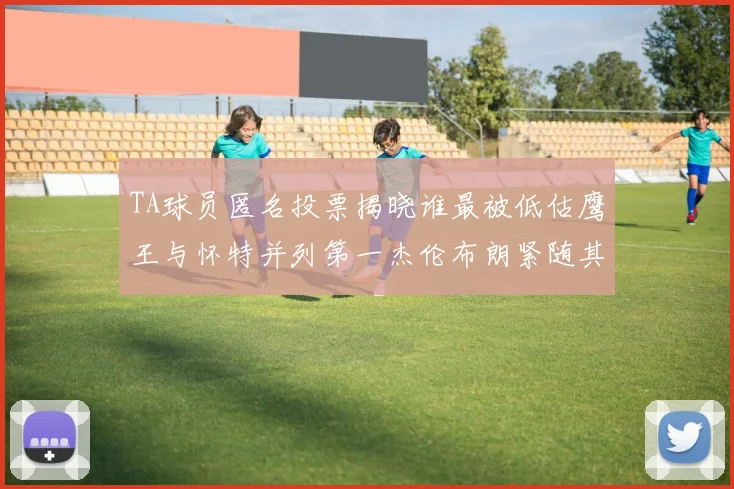 TA球员匿名投票揭晓谁最被低估鹰王与怀特并列第一杰伦布朗紧随其后